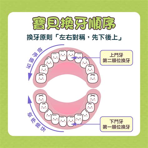 小朋友出大牙|換牙順序搞不懂？爸媽必看兒童換牙年齡表，搭配2種。